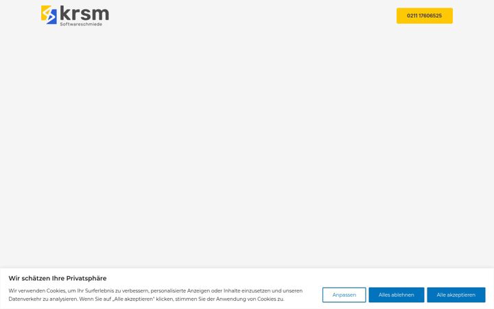 Screenshot of krsm-softwareschmiede.de