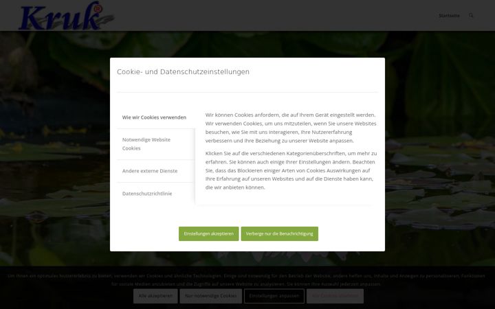 Screenshot of kruk.de