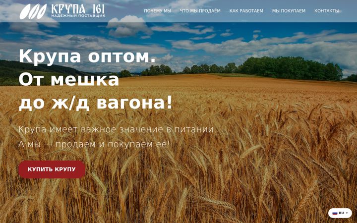 Screenshot of krupa161.ru