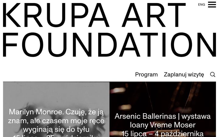 Screenshot of krupaartfoundation.pl