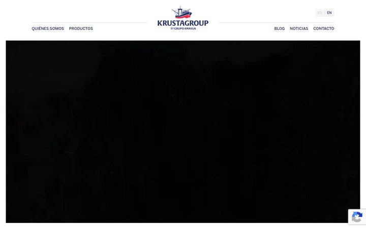 Screenshot of krustagroup.com