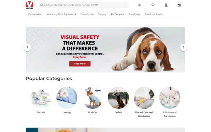 Screenshot of kruuse.com