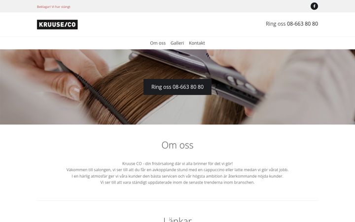 Screenshot of kruuseco.com