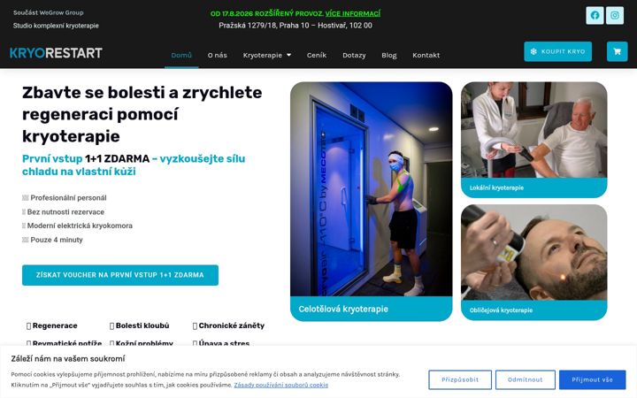 Screenshot of kryorestart.cz