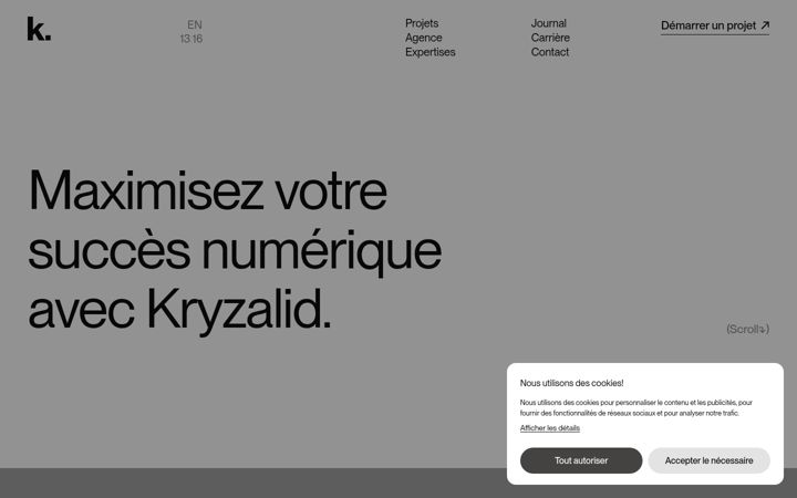 Ekrano kopija kryzalid.net