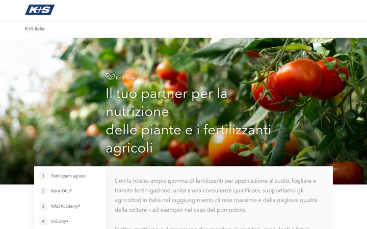Screenshot of ks-italia.com