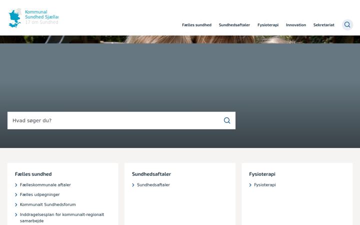 Screenshot of ks-s.dk