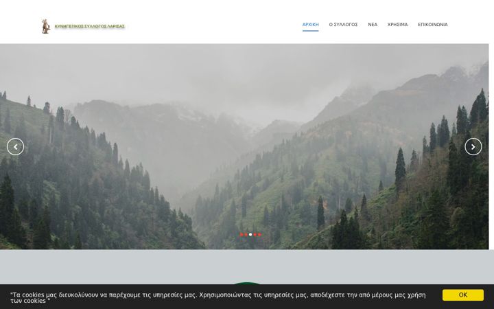 Screenshot of kslarisas.gr