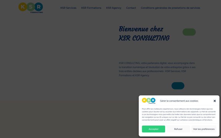 Screenshot of ksr-consulting.fr