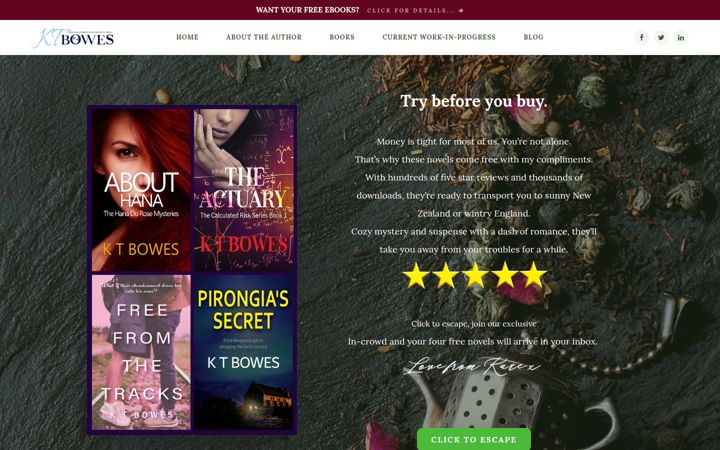 Screenshot of ktbowes.com