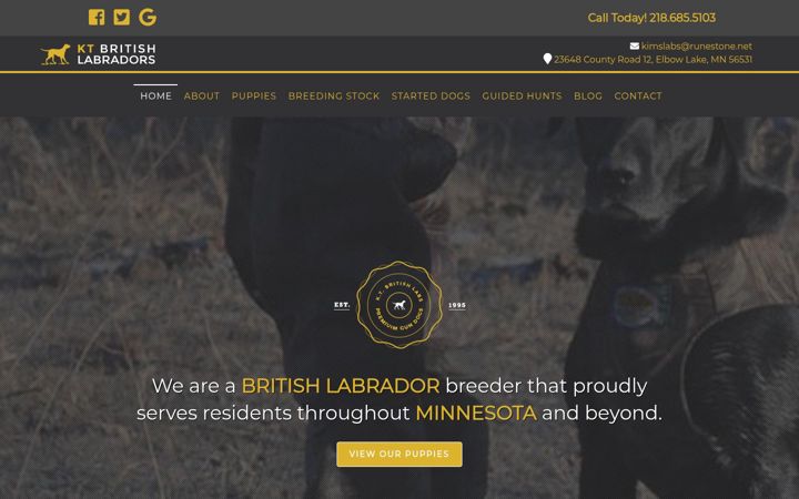 Captură de ecran a ktbritishlabs.com