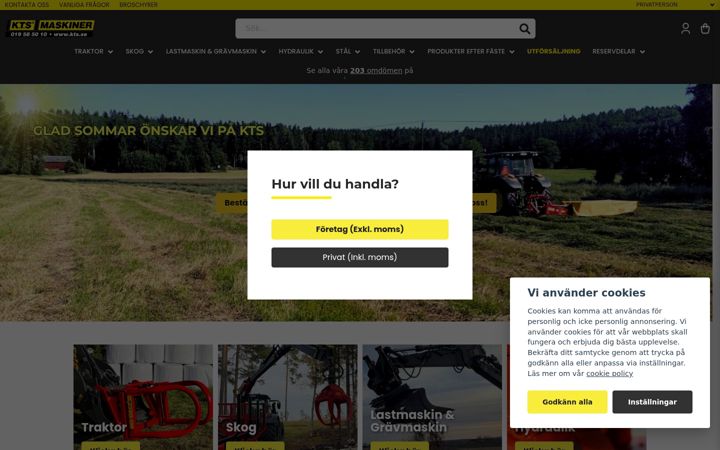 Screenshot of kts.se