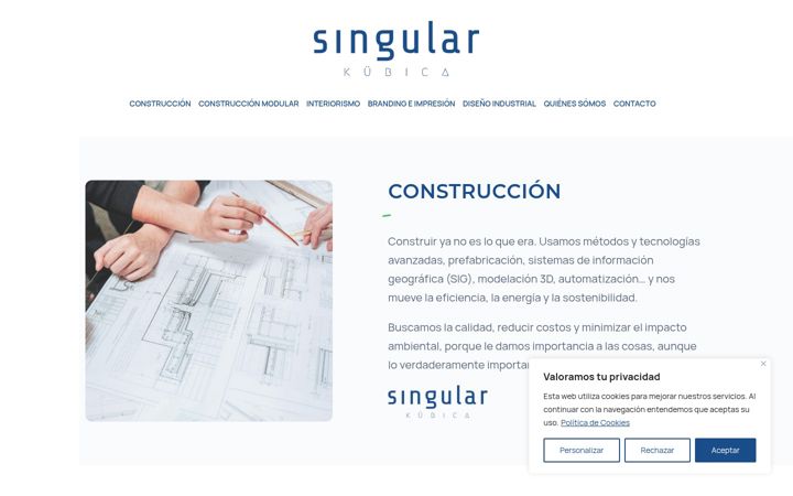 Screenshot of kubicasingular.es