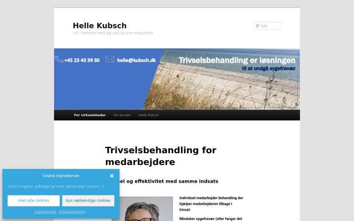 Screenshot of kubsch.dk