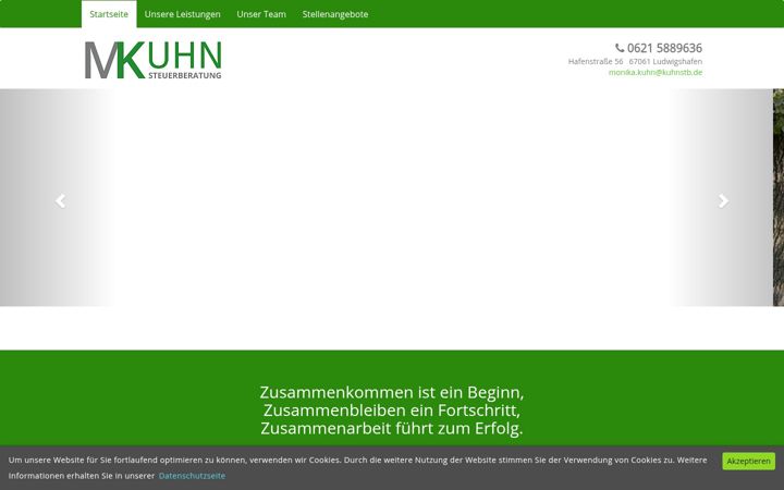 Screenshot of kuhnstb.de