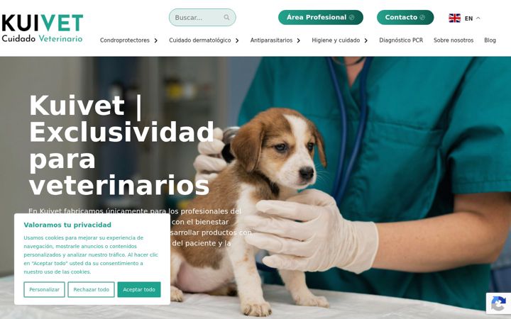 Screenshot of kuivet.com