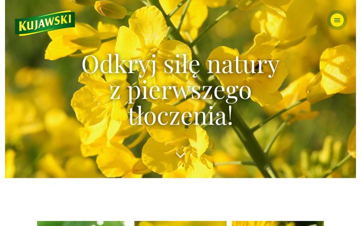 Screenshot of kujawski.pl