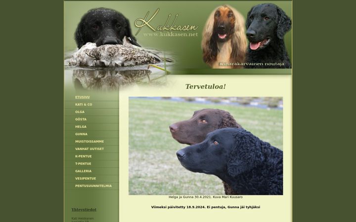 Screenshot of kukkasen.net