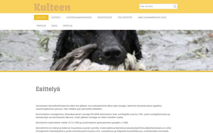 Screenshot of kulteen.fi