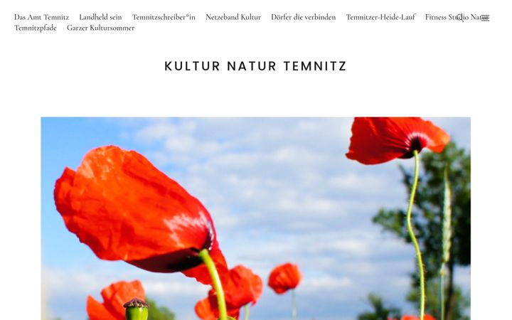 Screenshot of kultur-natur-temnitz.de