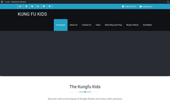 Screenshot of kungfu-kids.com