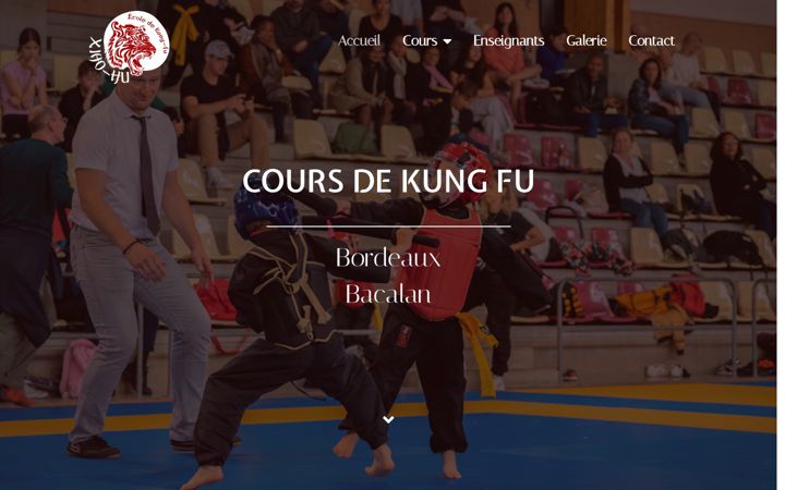 Screenshot of kungfubordeaux33.com
