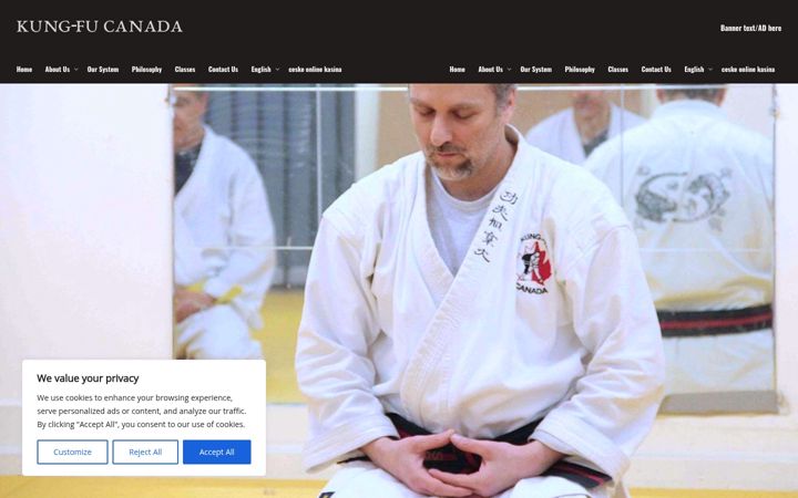 Screenshot of kungfucanada.ca
