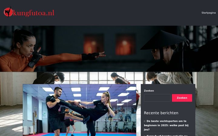 Screenshot of kungfutoa.nl