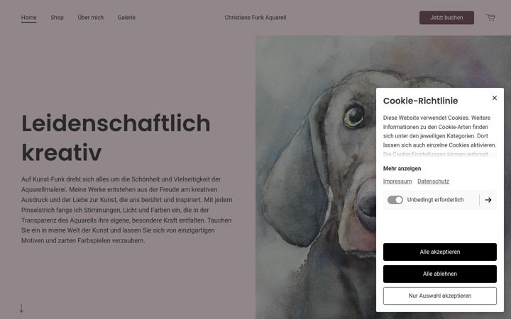 Screenshot of kunst-funk.de