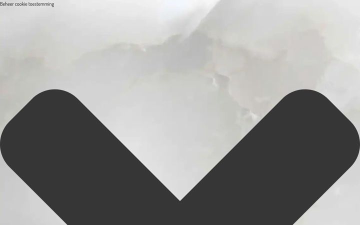 Screenshot of kunst-van-petra.nl