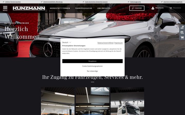 Screenshot of kunzmann.de