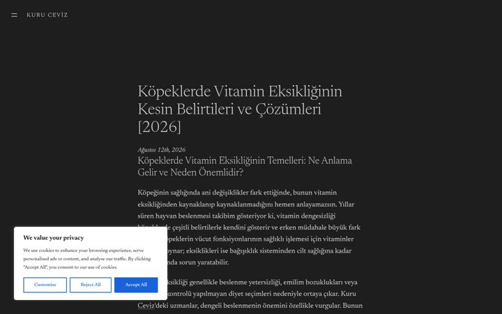 Screenshot of kuruceviz.com