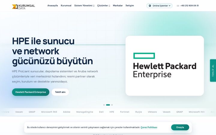 Screenshot of kurumsaldata.com