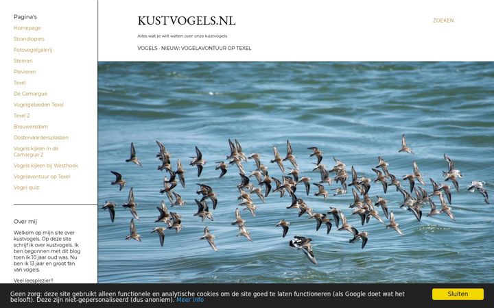 Screenshot of kustvogels.nl