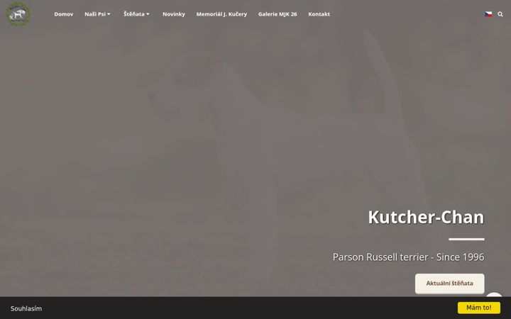 Screenshot of kutcherchan.com