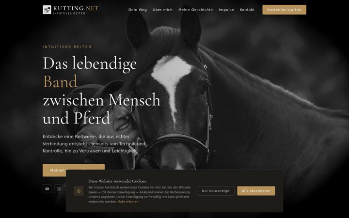 Screenshot of kutting.net
