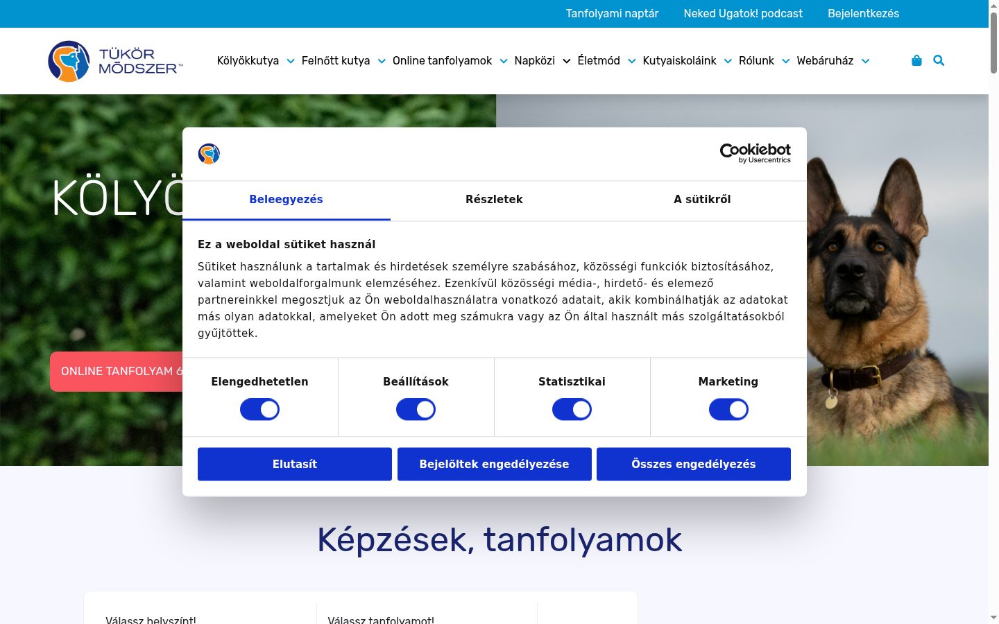 Screenshot tal-banner tal-kunsens muri qabel kwalunkwe interazzjoni