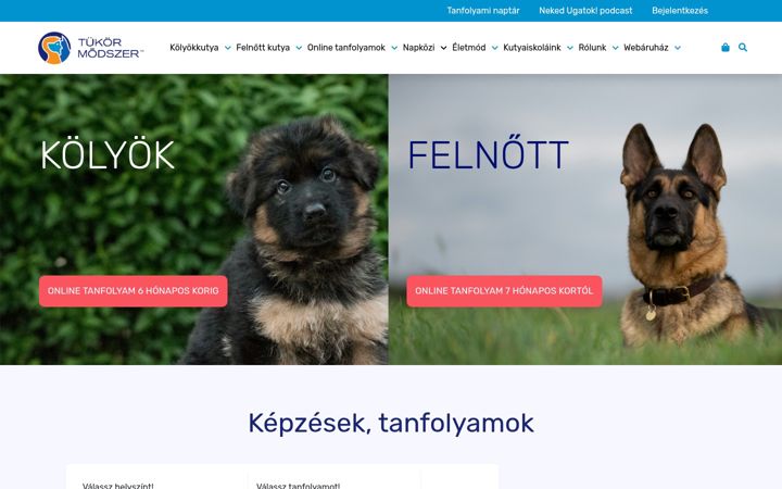 Screenshot of kutyasuli.hu