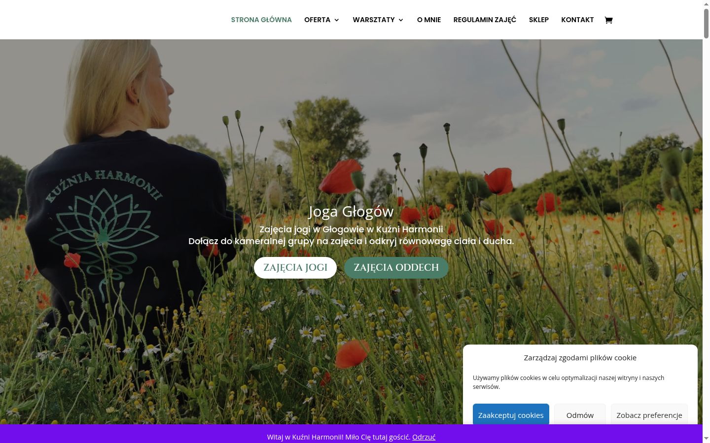 Screenshot tal-banner tal-kunsens muri qabel kwalunkwe interazzjoni