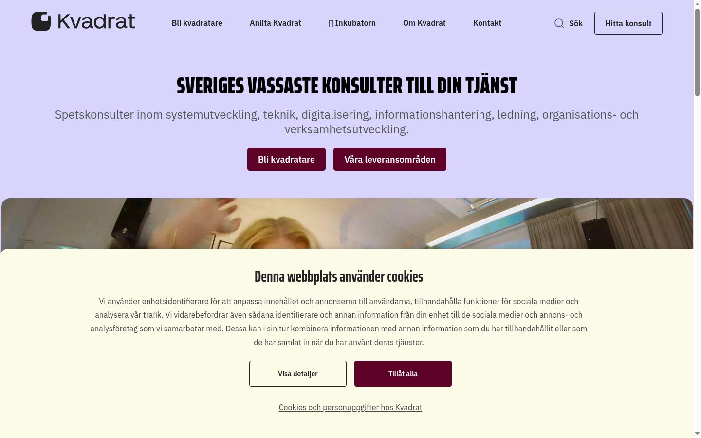 Skærmbillede af samtykkebanneret, som det blev vist før nogen interaktion