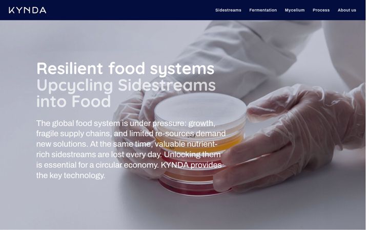 Screenshot of kyndatech.com