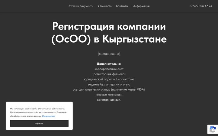 Screenshot of kyrgyzstanbusiness.ru