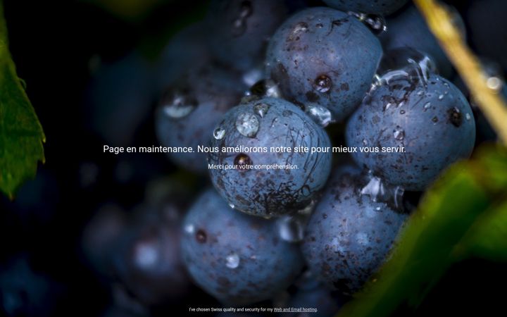 Screenshot of l-esprit-du-vin.com