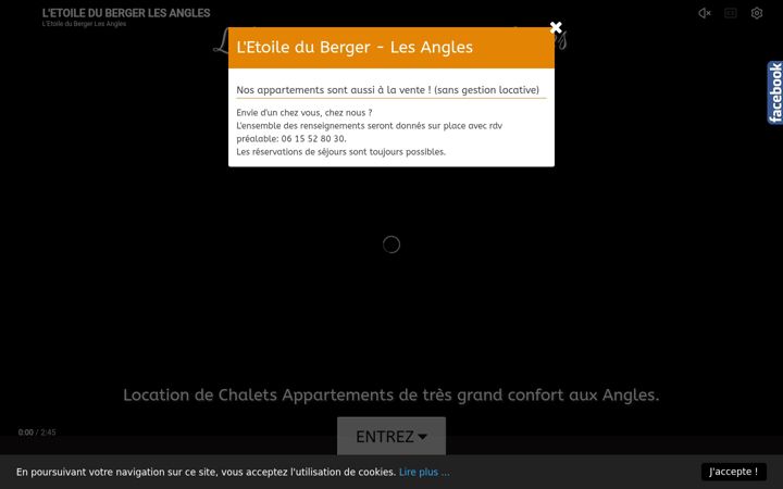 Screenshot of l-etoileduberger.com