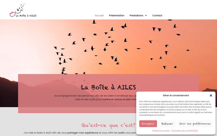 Screenshot of la-boite-a-ailes.ch