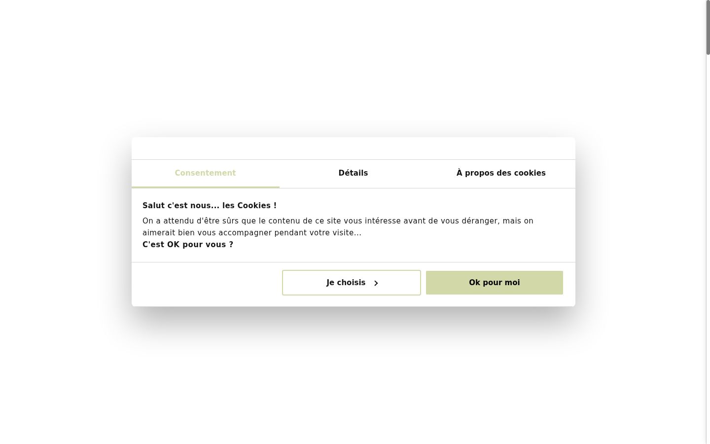 Screenshot of the consent banner shown before any interaction
