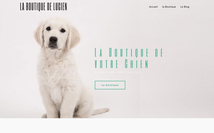 Screenshot of la-boutique-de-lucien.com