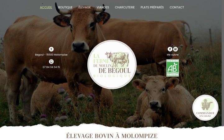 Screenshot of la-ferme-du-moulin-de-begoul.fr