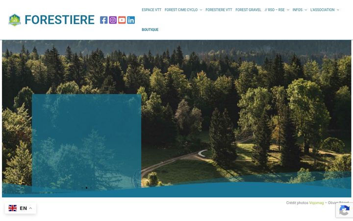 Snímek obrazovky la-forestiere.com