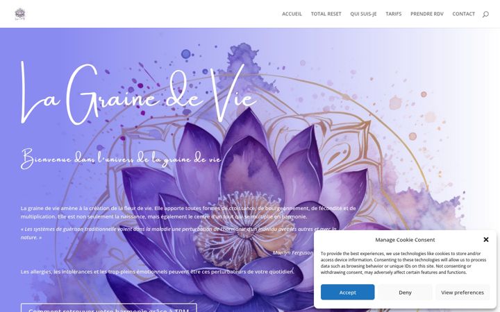 Screenshot of la-graine-de-vie.ch